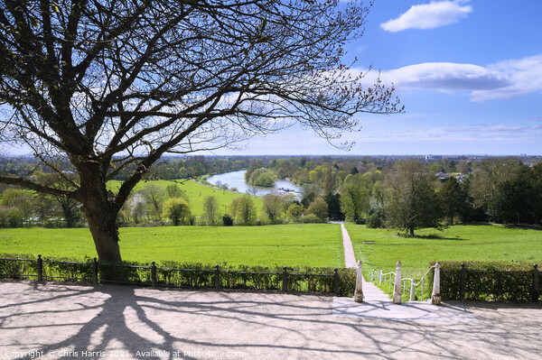 The Thames from Richmond Hill Picture Board by Chris Harris