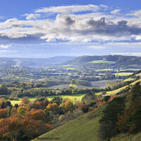 Buy canvas prints of Colley Hill and Surrey Hills   by Chris Harris