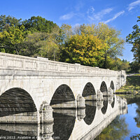 Buy canvas prints of Five Arch Bridge, Virginia Water  by Chris Harris