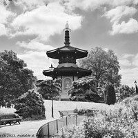 Buy canvas prints of Battersea Park Peace Pagoda by Chris Harris