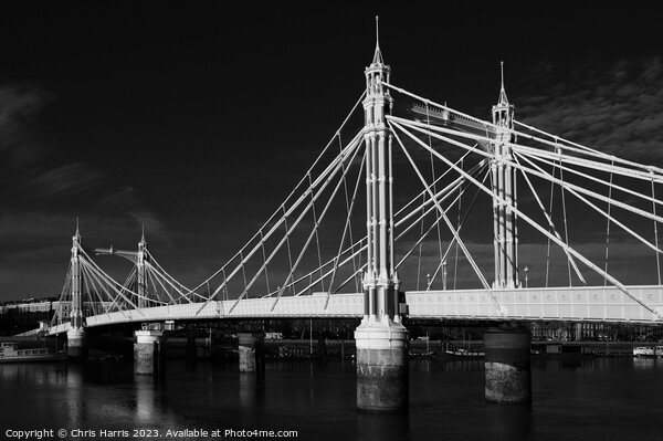 Albert Bridge, London Picture Board by Chris Harris