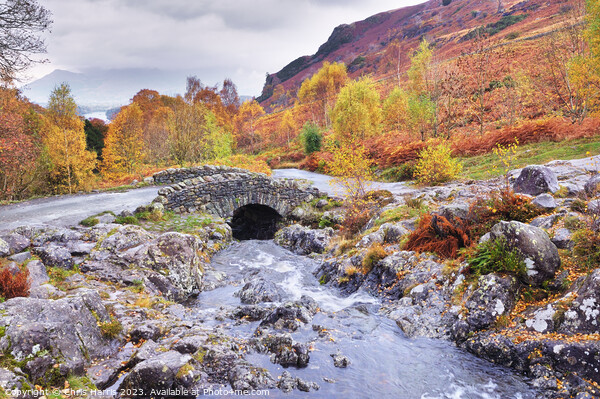 Autumn at Ashness Bridge Picture Board by Chris Harris