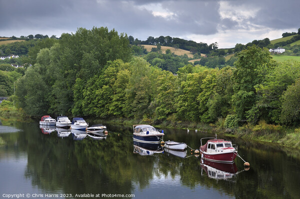 Boats on the River Dart, Devon Picture Board by Chris Harris