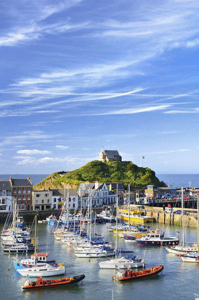 Ilfracombe summer  Picture Board by Chris Harris