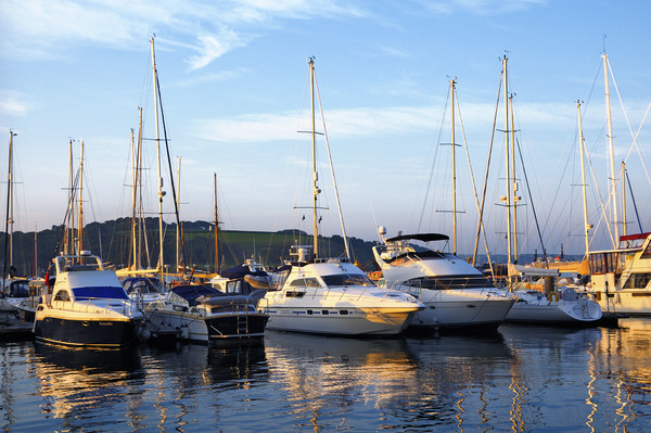 Yachts in Marina Picture Board by Chris Harris