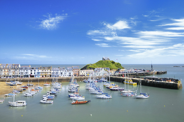 Ilfracombe in summer Picture Board by Chris Harris