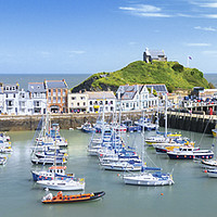 Buy canvas prints of Ilfracombe in summer by Chris Harris