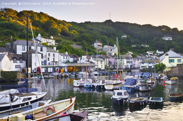 Polperro afterglow Picture Board by Chris Harris
