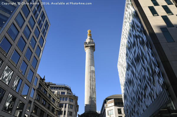 The Monument, City of London Picture Board by Chris Harris