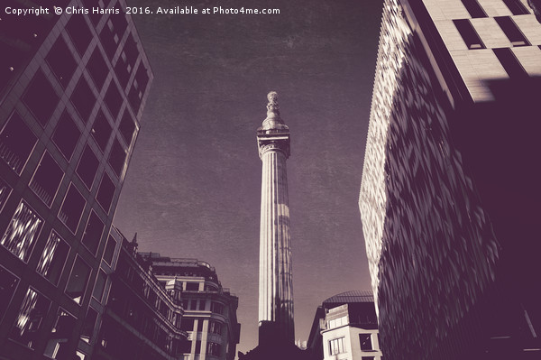 Monument to the Great Fire of London Picture Board by Chris Harris