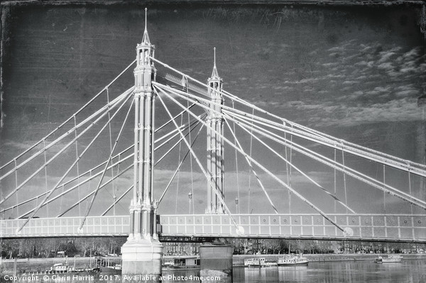 Albert Bridge, London Picture Board by Chris Harris