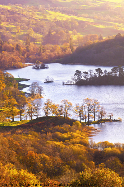 Rydal Water Picture Board by Chris Harris