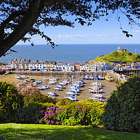 Buy canvas prints of Sunny Ilfracombe by Chris Harris