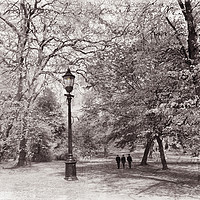 Buy canvas prints of A walk in the park by Chris Harris
