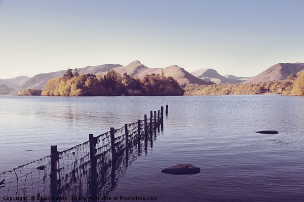 Derwent Isle and Catbells Picture Board by Chris Harris