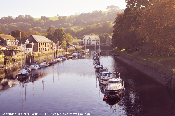 Boats on the River Dart at Totnes Picture Board by Chris Harris