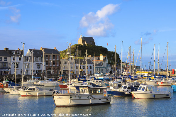 Ilfracombe harbour and St Nicholas Chapel in Devon Picture Board by Chris Harris