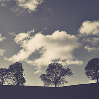Buy canvas prints of Trees on the hill by Chris Harris