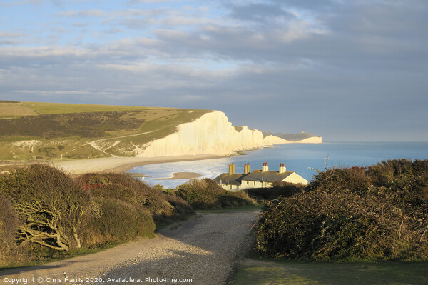 Seven Sisters from Seaford Head Picture Board by Chris Harris