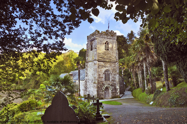 St Just in Roseland Church Picture Board by Chris Harris