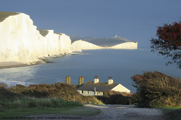 Seven Sisters from Seaford Head II Picture Board by Chris Harris