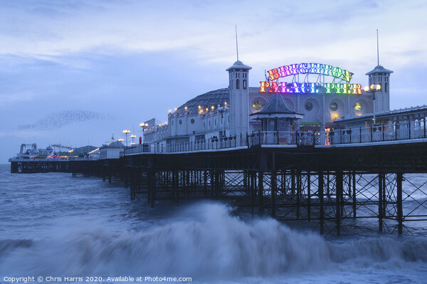 Brighton Pier at dusk Picture Board by Chris Harris