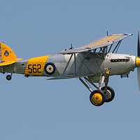 Buy canvas prints of Historic Aircraft Collections Hawker Nimrod by Lee Chapman