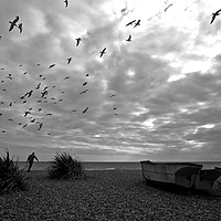 Buy canvas prints of Hungry Birds by Phil Dodds
