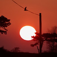 Buy canvas prints of Suffolk Country Side Sunset by James Allen