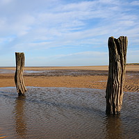 Buy canvas prints of Wooden Posts, Titchwell beach by Judy Newstead-Howard