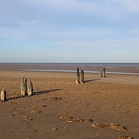 Buy canvas prints of Wooden Posts, Titchwell beach, Norfolk by Judy Newstead-Howard