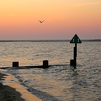 Buy canvas prints of Gulls and Groynes at Sunset by Judy Newstead-Howard