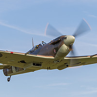 Buy canvas prints of Spitfire Vb BB597 flyby by Tom Dolezal