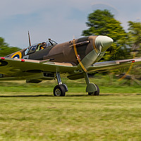 Buy canvas prints of Lowdown Spitfire take-off by Tom Dolezal