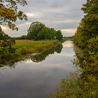 Buy canvas prints of Autumn reflections along Hythe Canal by Tom Dolezal