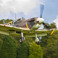 Buy canvas prints of Spitfire BM597 landing by Tom Dolezal