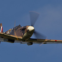 Buy canvas prints of Watch out Spitfire about! by Tom Dolezal