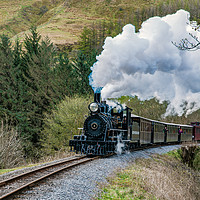 Buy canvas prints of  Brecon Mountain Railway steam train by Tom Dolezal