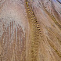Buy canvas prints of Sand patterns by Tom Dolezal