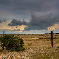 Buy canvas prints of Dungeness wilderness 2 by Tom Dolezal