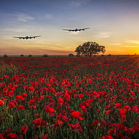 Buy canvas prints of Returning Lancasters by Tom Dolezal