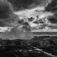 Buy canvas prints of Lava field meets the sea - mono by Tom Dolezal