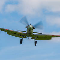 Buy canvas prints of Incoming Spitfire by Tom Dolezal