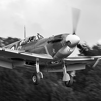 Buy canvas prints of Landing Spitfire monochrome by Tom Dolezal