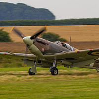 Buy canvas prints of Taxiing Spitfire by Tom Dolezal