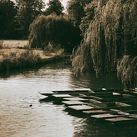 Buy canvas prints of Still waters on the River Cam by Jeanette Teare