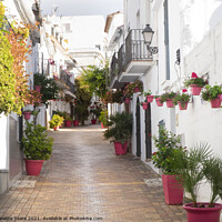 Buy canvas prints of Street of the pink plantpots, Estepona by Jeanette Teare