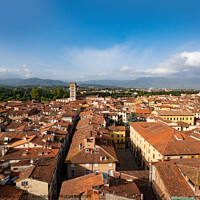 Buy canvas prints of Lucca rooftops by Jeanette Teare
