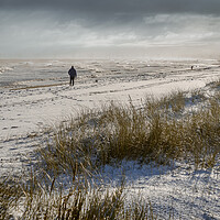 Buy canvas prints of Person walking on a snowy beach by GILL KENNETT