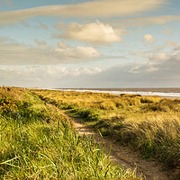 Buy canvas prints of The Coastal Path by GILL KENNETT